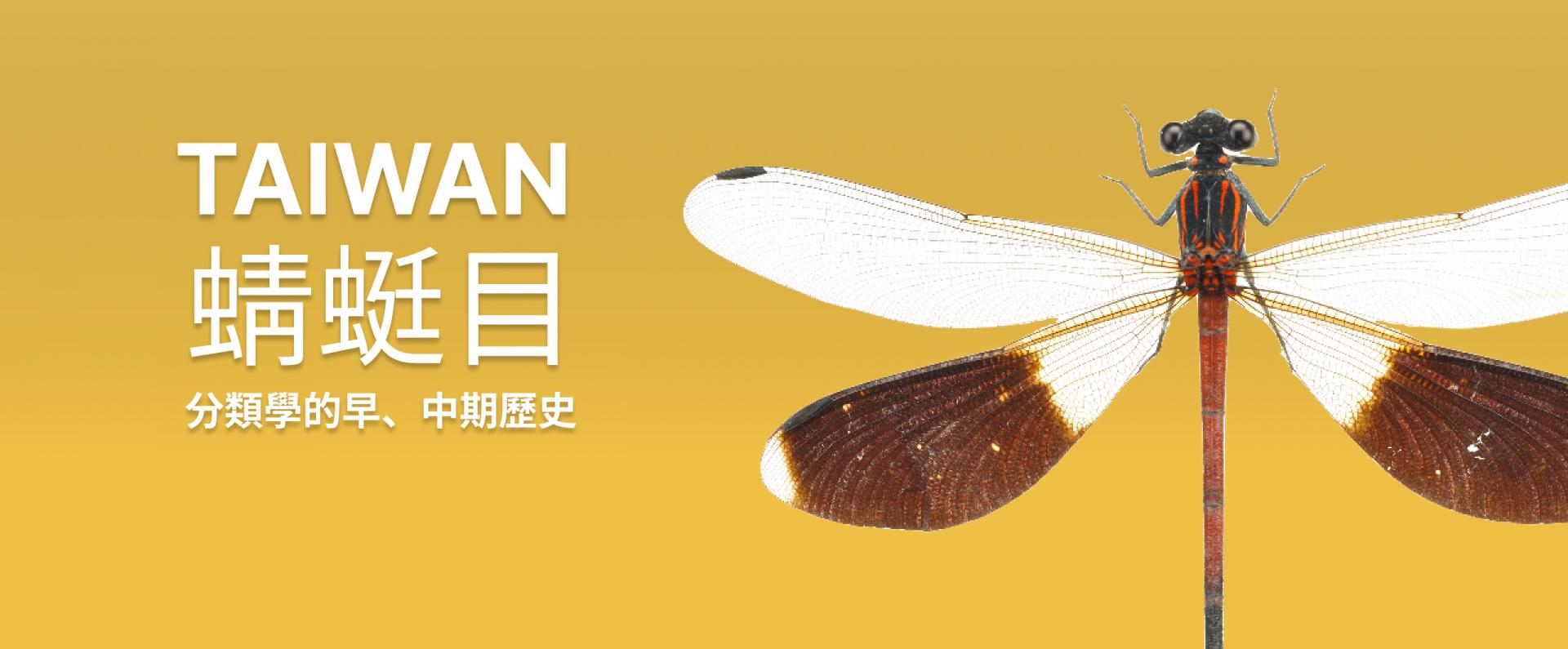 台灣蜻蜓目分類學的早、中期歷史| 林業試驗所昆蟲標本館